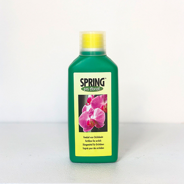 Orchid Fertilizer | Buy Orchids in Dubai UAE | Gifts