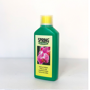 Orchid Fertilizer | Buy Orchids in Dubai UAE | Gifts