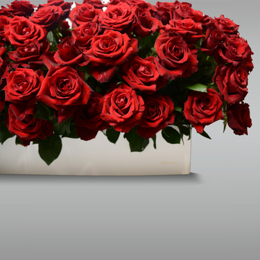 We Belong Together VIP Flower Box | Buy Flowers in Dubai UAE | Gifts