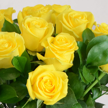 Hello My Sunshine | Buy Flowers in Dubai UAE | Gifts