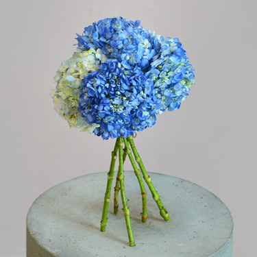 Blue Hydrangea Bouquet | Buy Flowers in Dubai UAE | Gifts