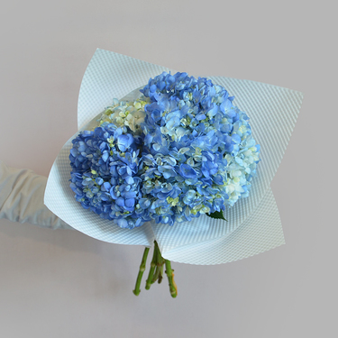 Blue Hydrangea Bouquet | Buy Flowers in Dubai UAE | Gifts