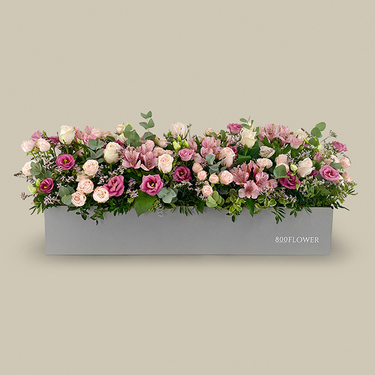 Jardin du Roi Box | Buy Flowers in Dubai UAE | Gifts