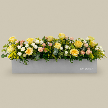 Sunny Rose Garden Box | Buy Flowers in Dubai UAE | Gifts