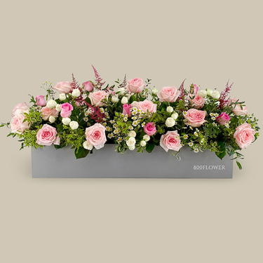 Jardin de la reine Box | Buy Flowers in Dubai UAE | Gifts