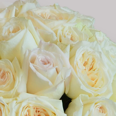 24 Stems Scented Garden Roses | Buy Flowers in Dubai UAE | Gifts