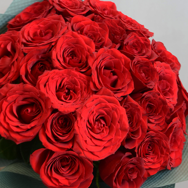 24 Premium Red Roses | Buy Flowers in Dubai UAE | Gifts