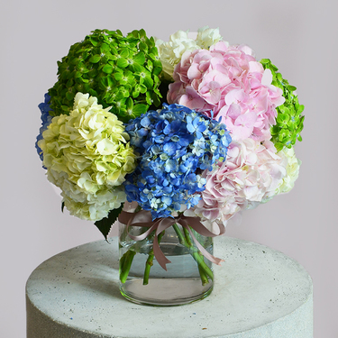 Hydrangea Delight Vase Arrangement | Buy Flowers in Dubai UAE | Gifts