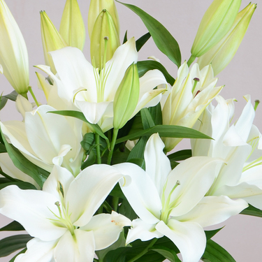 Lily Bouquet | Buy Flowers in Dubai UAE | Gifts