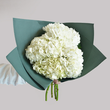 White Hydrangea Bouquet | Buy Flowers in Dubai UAE | Gifts