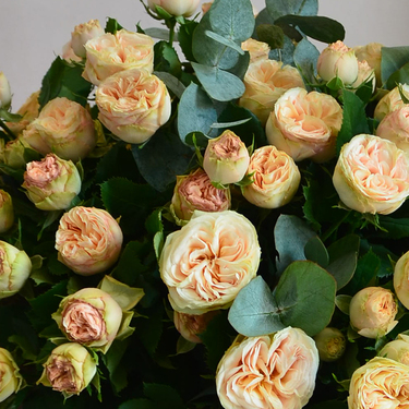 Peach Spray Rose Bouquet | Buy Flowers in Dubai UAE | Flower Bouquet