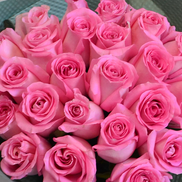 24 Pink Roses | Buy Flowers in Dubai UAE | Gifts