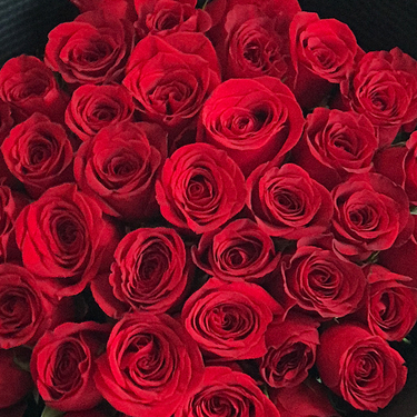 Seduction (36 Premium Red Rose Stems) | Buy Flowers in Dubai UAE | Gifts