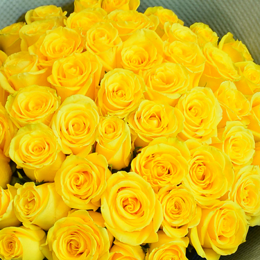 50 Yellow Roses | Buy Flowers in Dubai UAE | Gifts