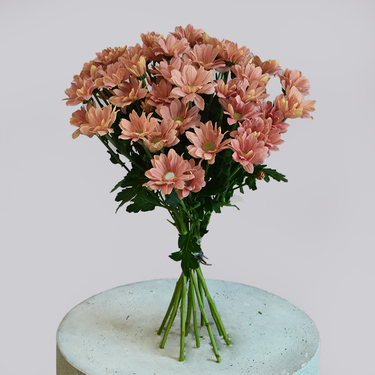 Pastel Bloom Flowers | Buy Flowers in Dubai UAE | Gifts