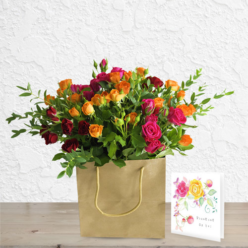 Threes Company | Buy Packages / Bundles in Dubai UAE | Gifts