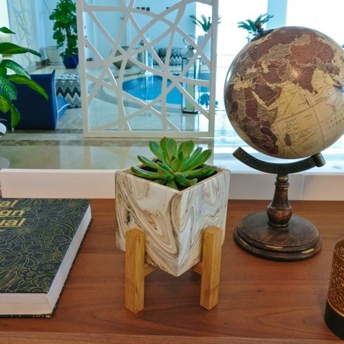Succulent Dish | Buy Flowers in Dubai UAE | Gifts