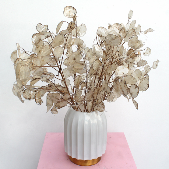 Dreamy | Buy Flowers in Dubai UAE | Gifts