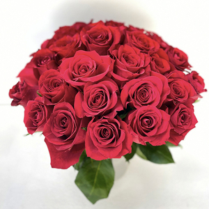 Thinking of you Vase Arrangement | Buy Flowers in Dubai UAE | Gifts