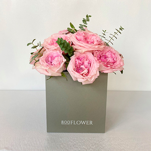 Pink Ohara in a Box | Buy Flowers in Dubai UAE | Flower Bouquet