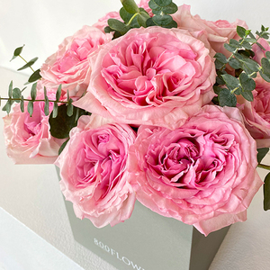 Pink Ohara in a Box | Buy Flowers in Dubai UAE | Flower Bouquet