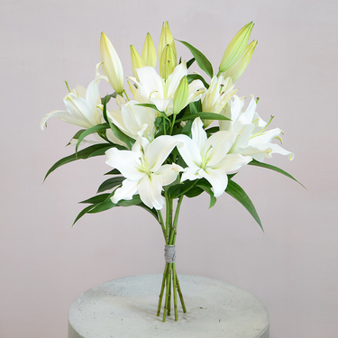 Buy Lillies in Dubai UAE