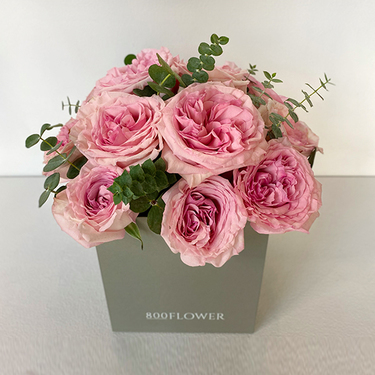 Pink Ohara in a Box | Buy Flowers in Dubai UAE | Flower Bouquet