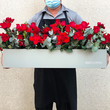 Red Rose Flower Garden Box | Buy Flowers in Dubai UAE | Gifts