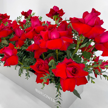 Red Rose Flower Garden Box | Buy Flowers in Dubai UAE | Gifts