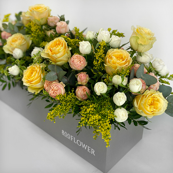 Sunny Rose Garden Box | Buy Flowers in Dubai UAE | Gifts