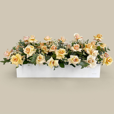 Athena's Garden Flower Box | Buy Flowers in Dubai UAE | Gifts